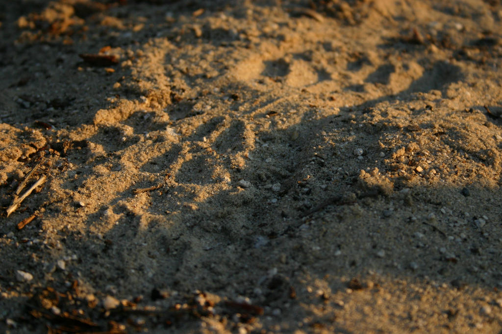 SandPrint by Saticburn on DeviantArt