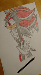 Shadow the Hedgehog