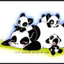 -Mothers Day Panda-