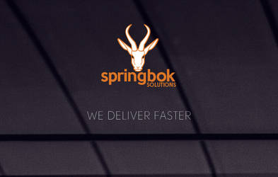 Springbok Solutions Company  Logo