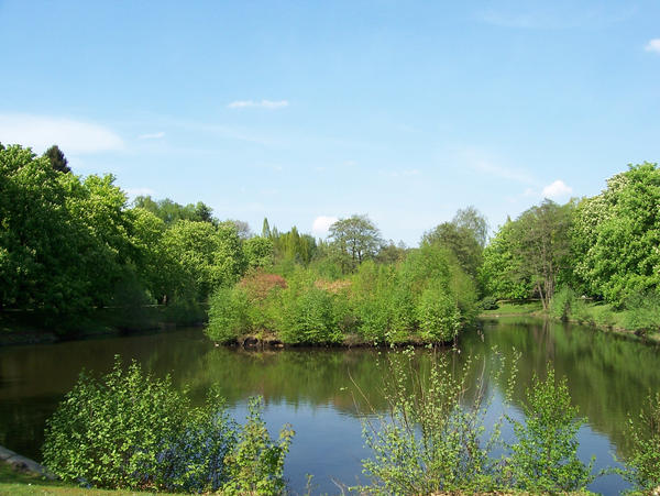 Lake with Island