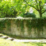 Wall with Ivy and Stairs