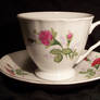 Teacup Stock7