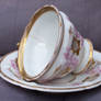 Teacup Stock12