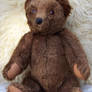 Teddy Bear Stock