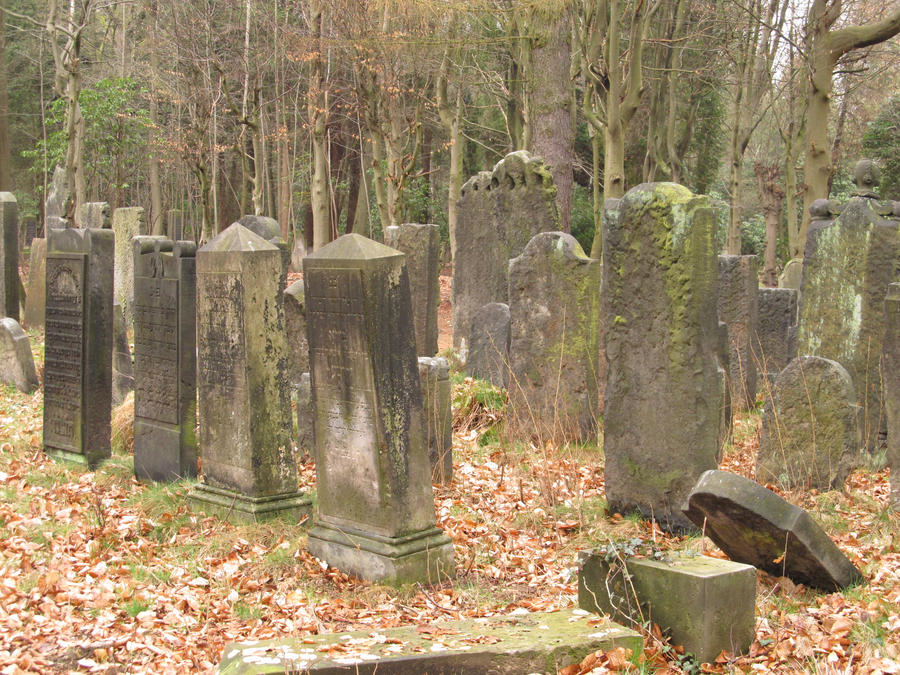 Jewish Cemetary Hamburg3