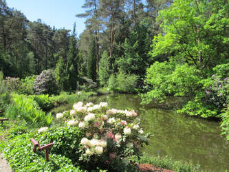 ValerianaSTOCK Lake with Rhododendrons