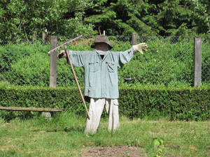 ValerianaSTOCK Another Scarecrow
