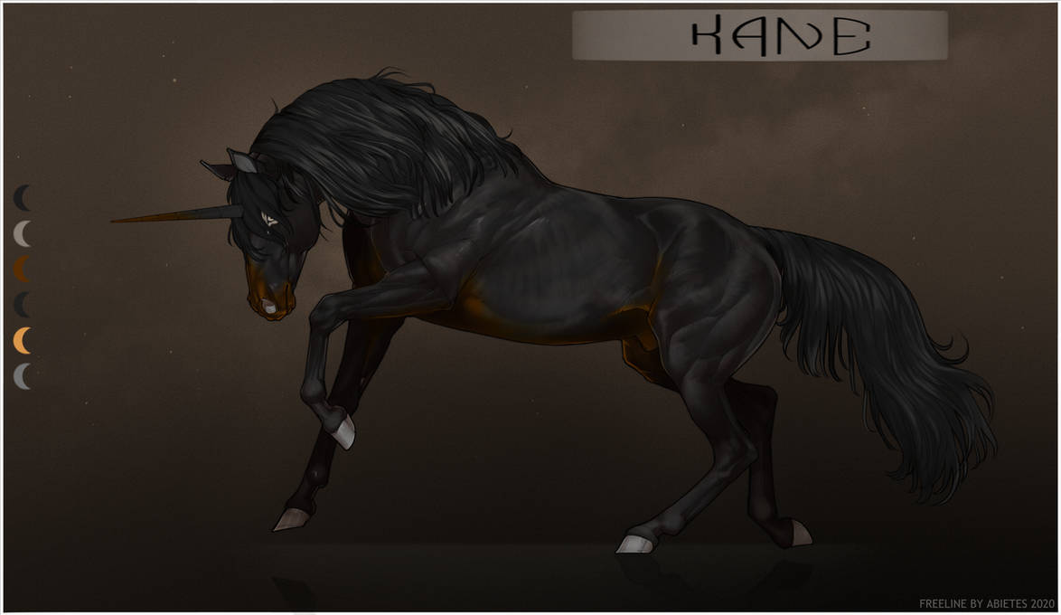 Kane Reference By Twelvesided On Deviantart Kane Reference By Twelvesided On Deviantart