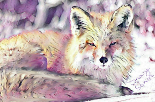 Beautiful Fox Art