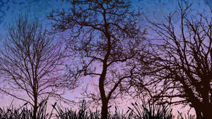 Tree silhouettes purple background