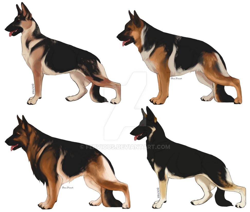 Sl Gsd HQ SL German Shepherd Imports - SOLD by Fervious on DeviantArt