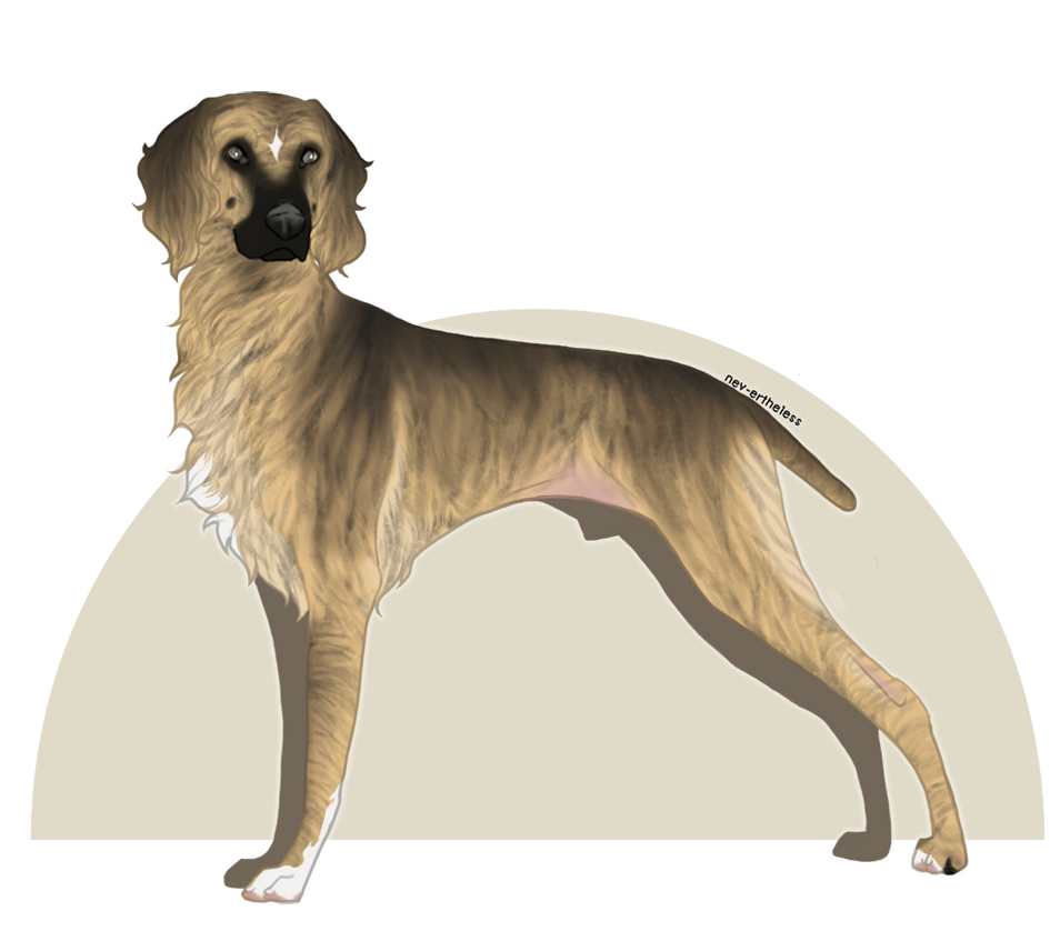 Tchotchke Staggard by Fervious on DeviantArt