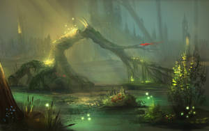 Swamp