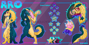 .:REFERENCE SHEET:. Aro the Starmera