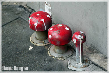 Mushrooms