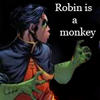 robin is a monkey