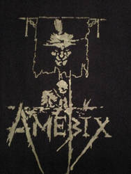 An old Amebix shirt I made