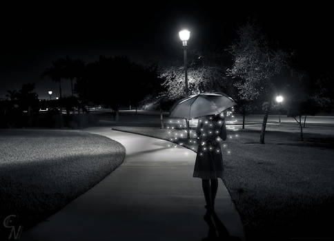 A LIght Stroll in the Park