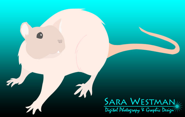 Rat Vector by Passion4Pythons on DeviantArt