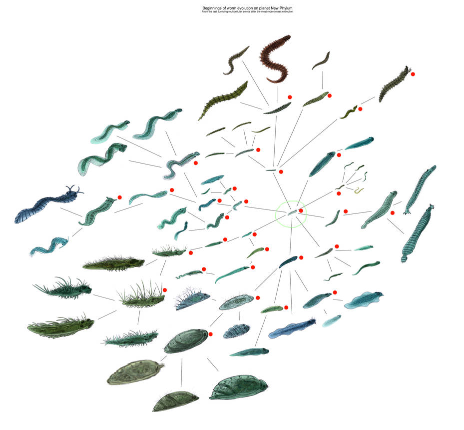 Evolution of alien life by Amoeba-like-thingy on DeviantArt