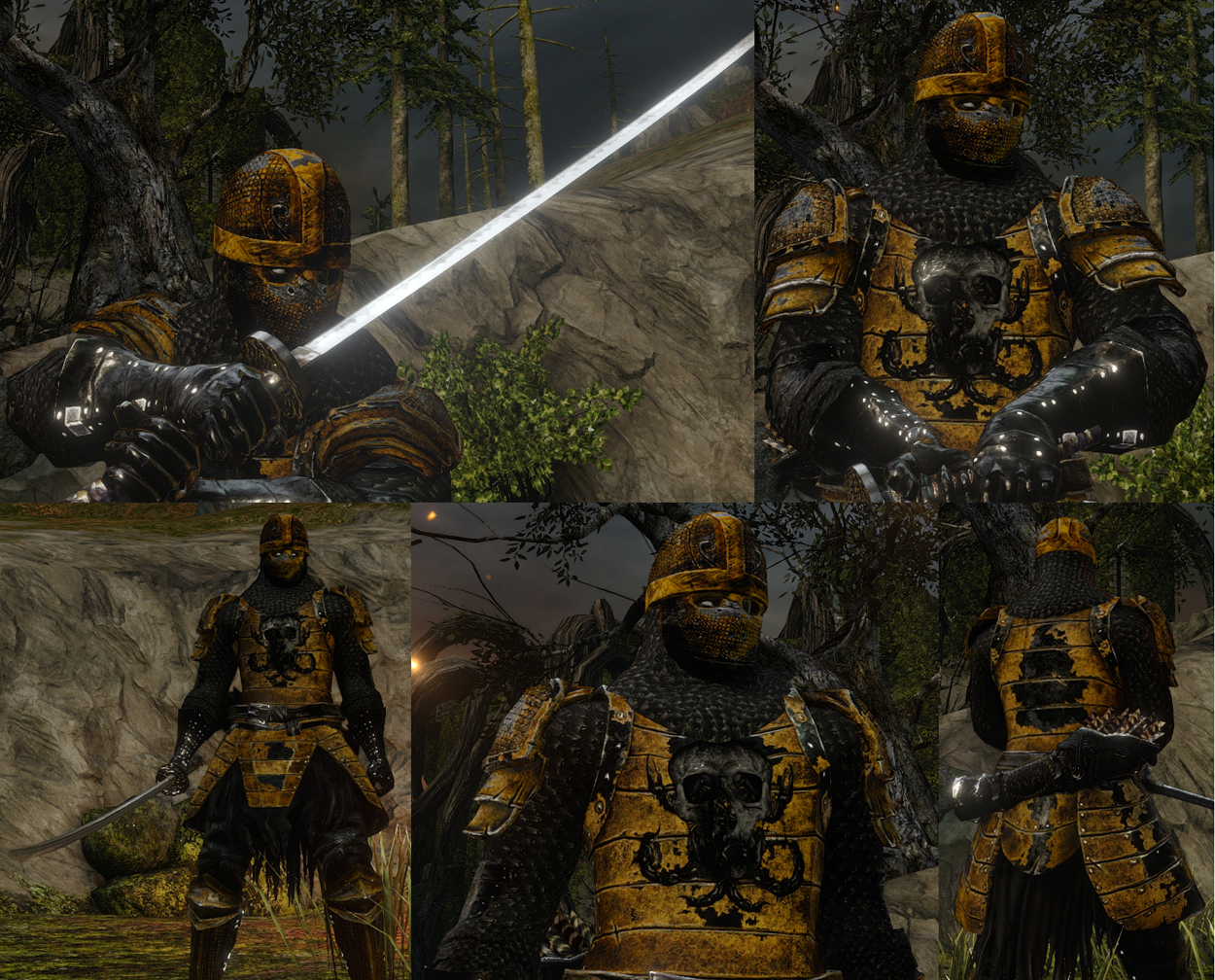 Dark Souls 2 - Scorpion-skin-set by Cerberus071984 on DeviantArt