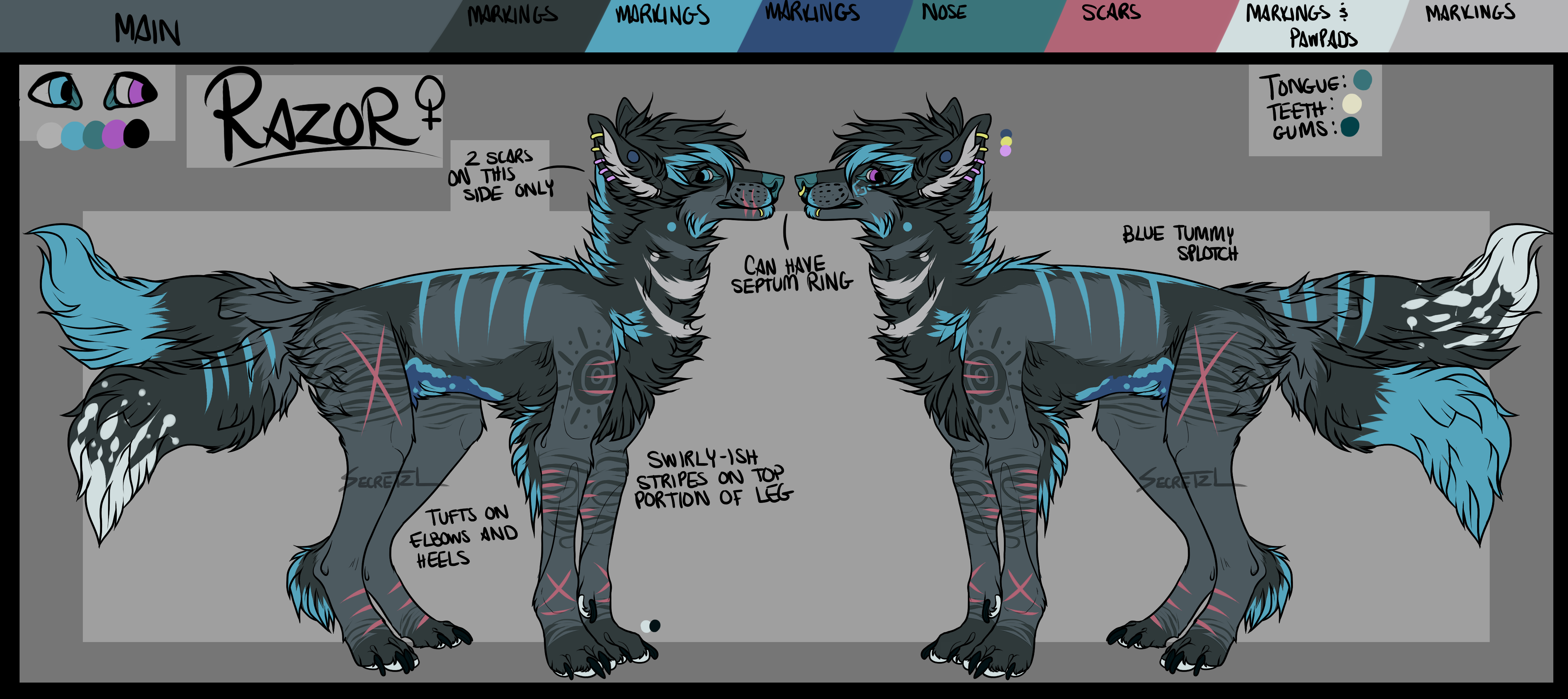 Razor Reference Sheet