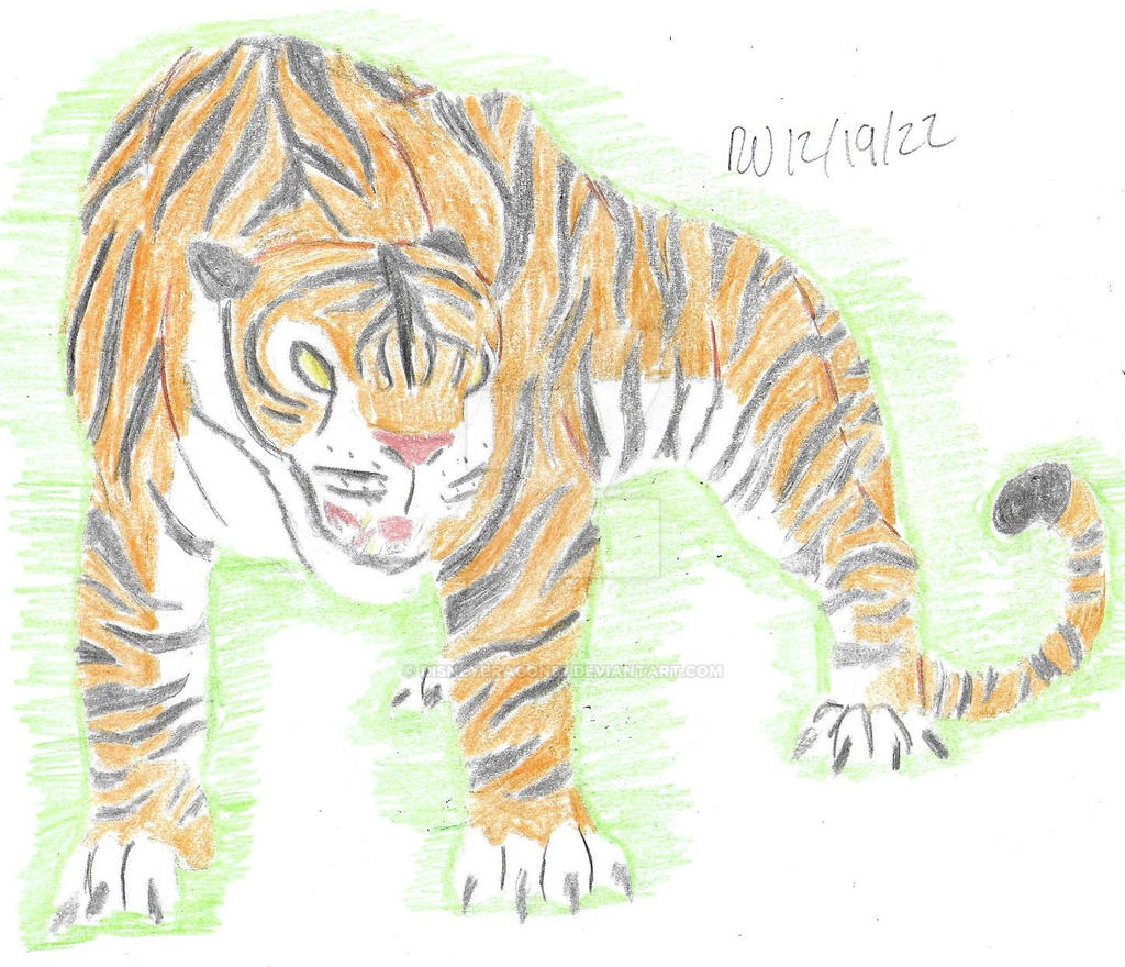 Tiger by DisneyDragon87 on DeviantArt