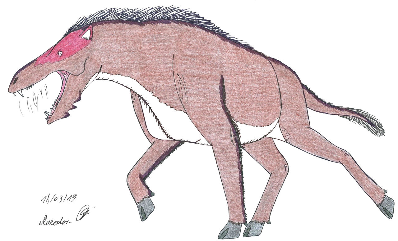 Daeodon by Suchomimus62 on DeviantArt