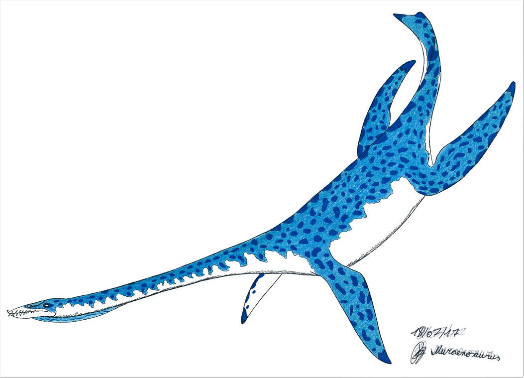 Muraenosaurus by Suchomimus62 on DeviantArt