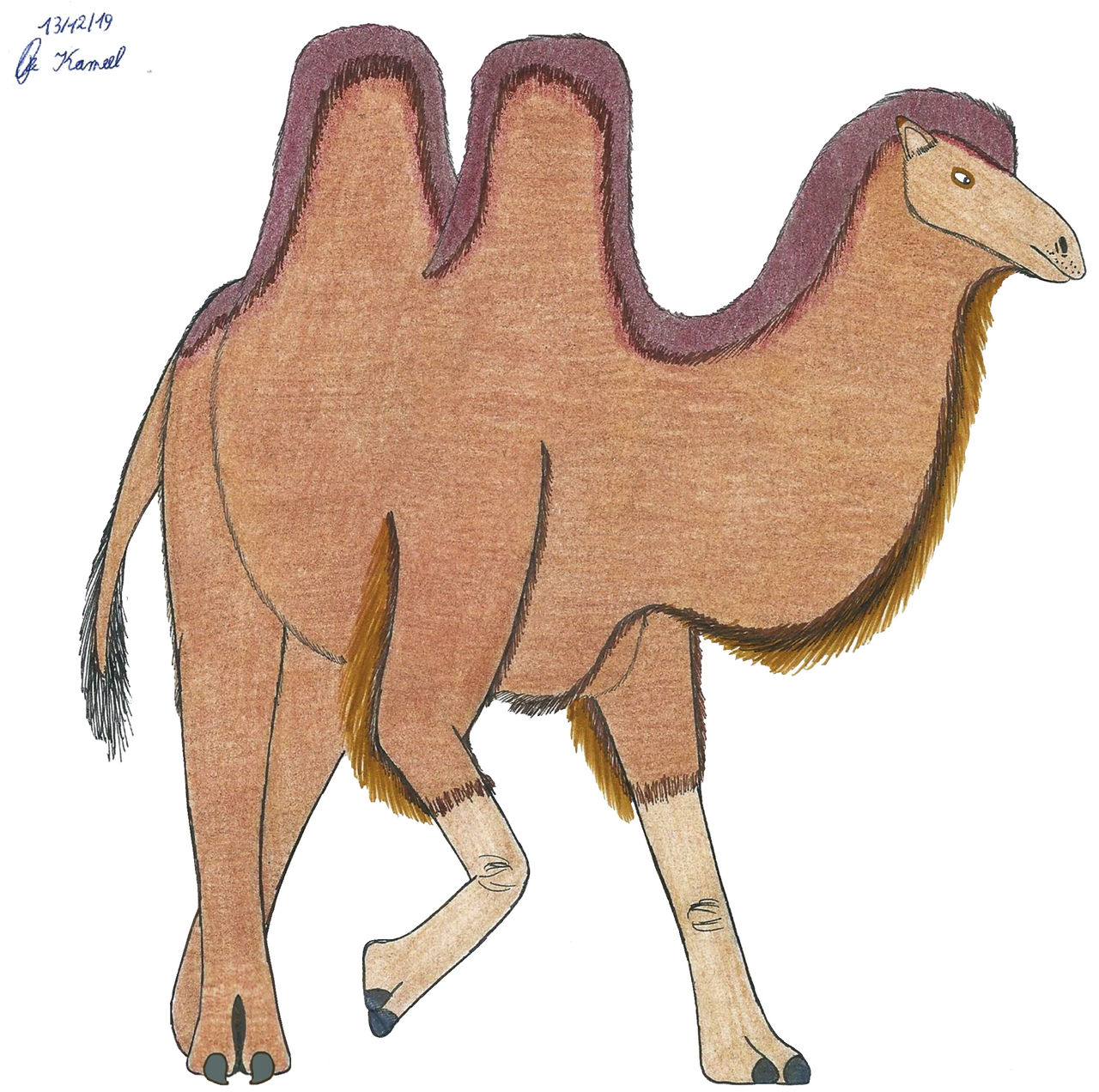 Bactrian Camel By Suchomimus62 On Deviantart Bactrian Camel By Suchomimus62 On Deviantart