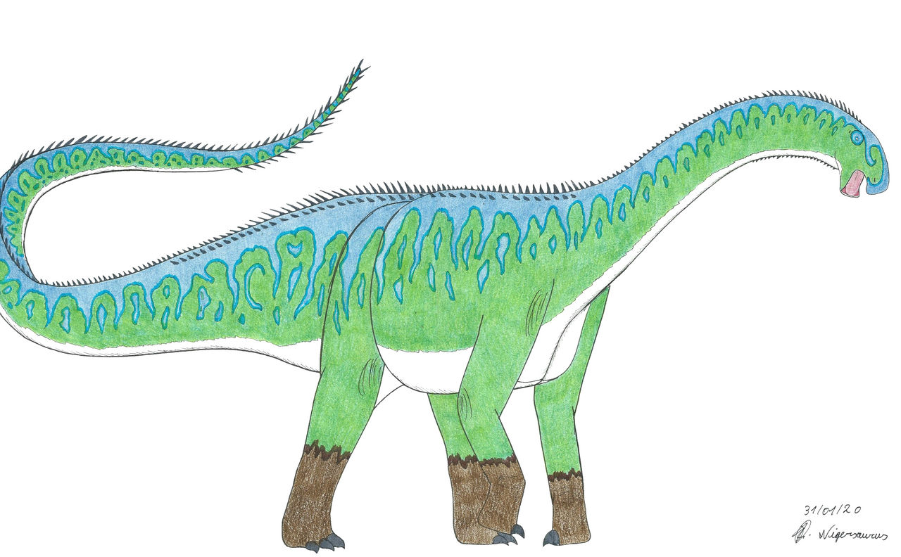 Nigersaurus by Suchomimus62 on DeviantArt