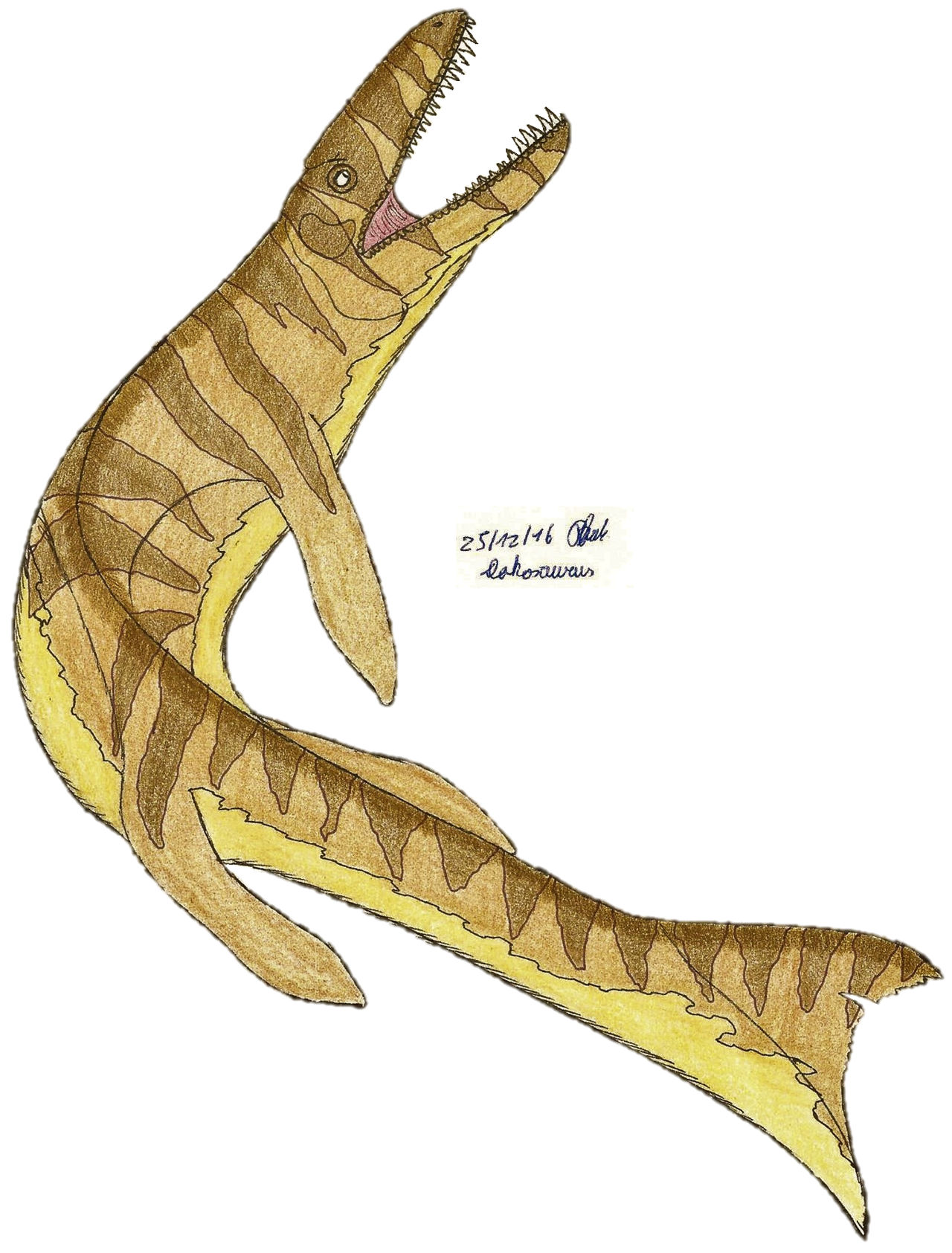 Dakosaurus by Suchomimus62 on DeviantArt