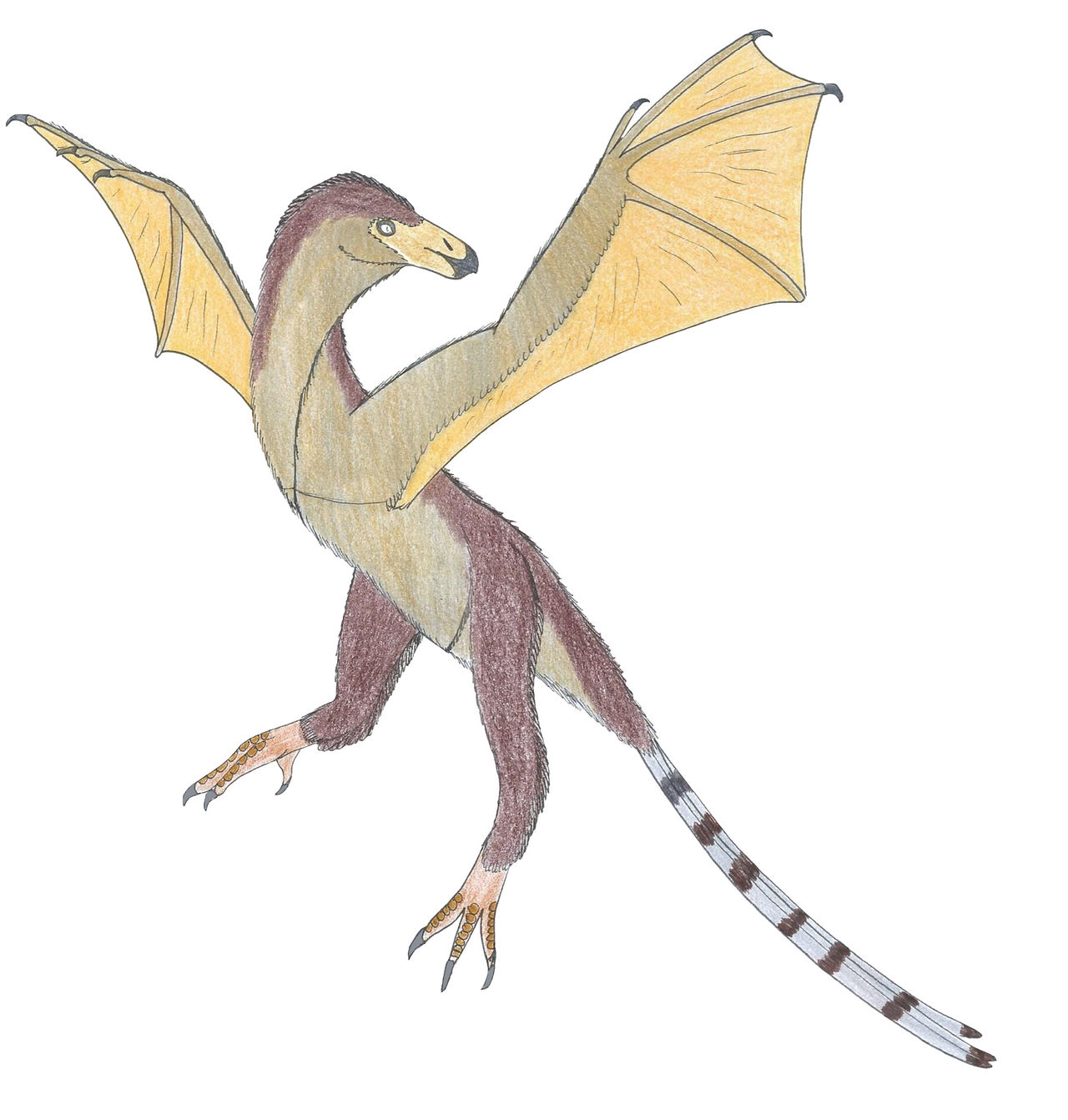 Ambopteryx by Suchomimus62 on DeviantArt