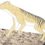 Thylacine 2.0