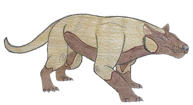 Megistotherium