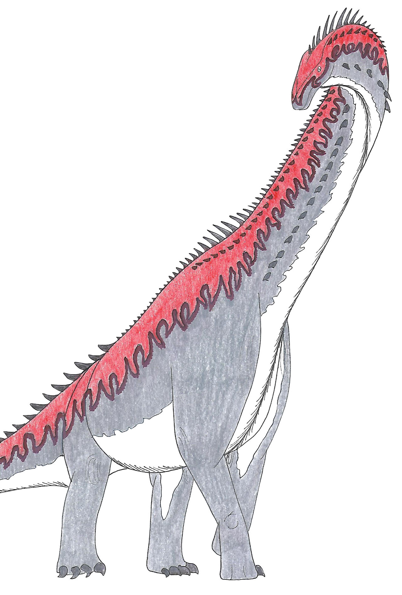 Deinocheirus mirificus by IllustratedMenagerie on DeviantArt