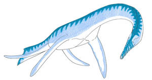 Serpentisuchops