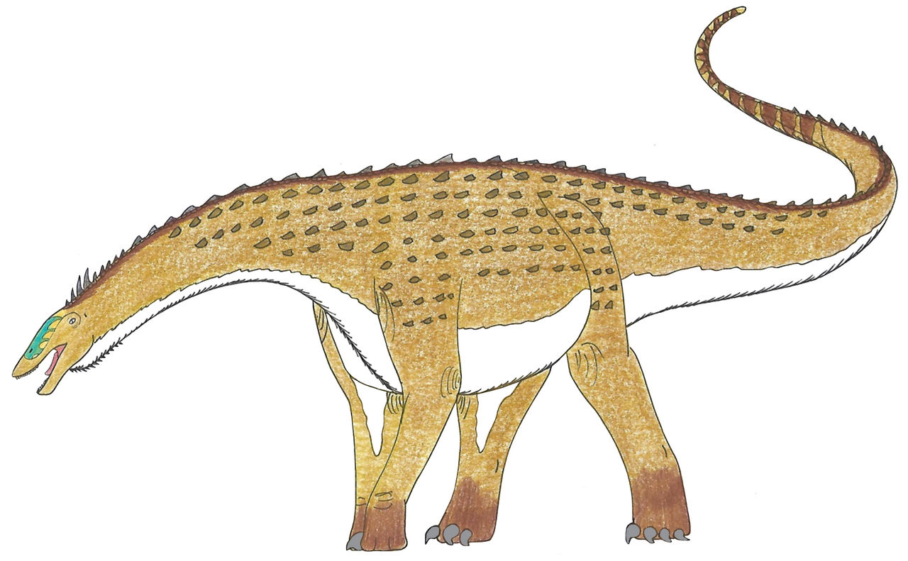 Saltasaurus 2.0 by Suchomimus62 on DeviantArt