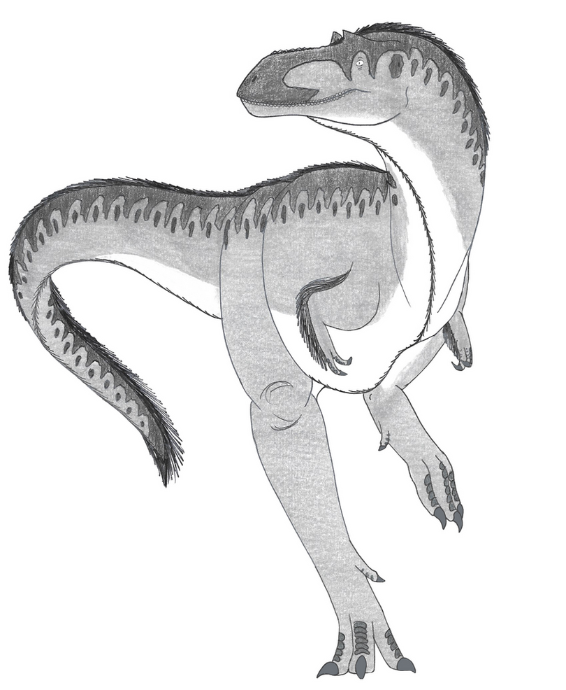 Albertosaurus 3.0 by Suchomimus62 on DeviantArt