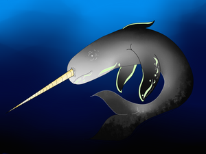 Narwhal