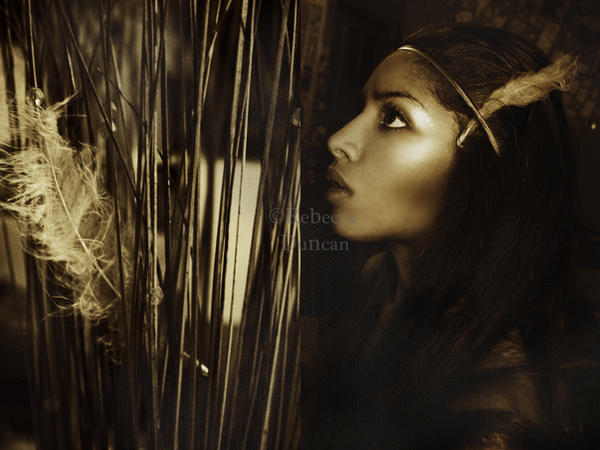 The Indian Dream.. by spineless-splendour