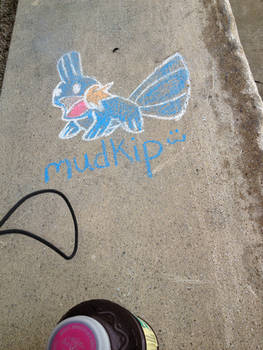 Mudkip