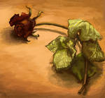 Etude: Wilted Rose by BabushkaYaga