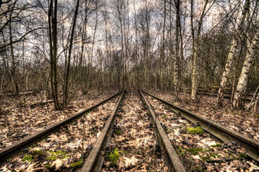 Railway-To-Nowhere-Winter-Brown