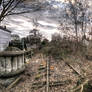 Railway-tree-bridge-Winter-Brown