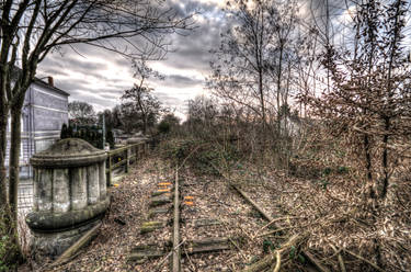 Railway-tree-bridge-Winter-Brown