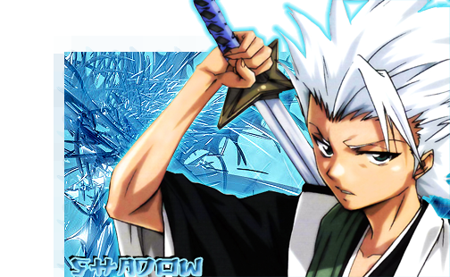 hitsugaya sig