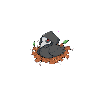 Bird049