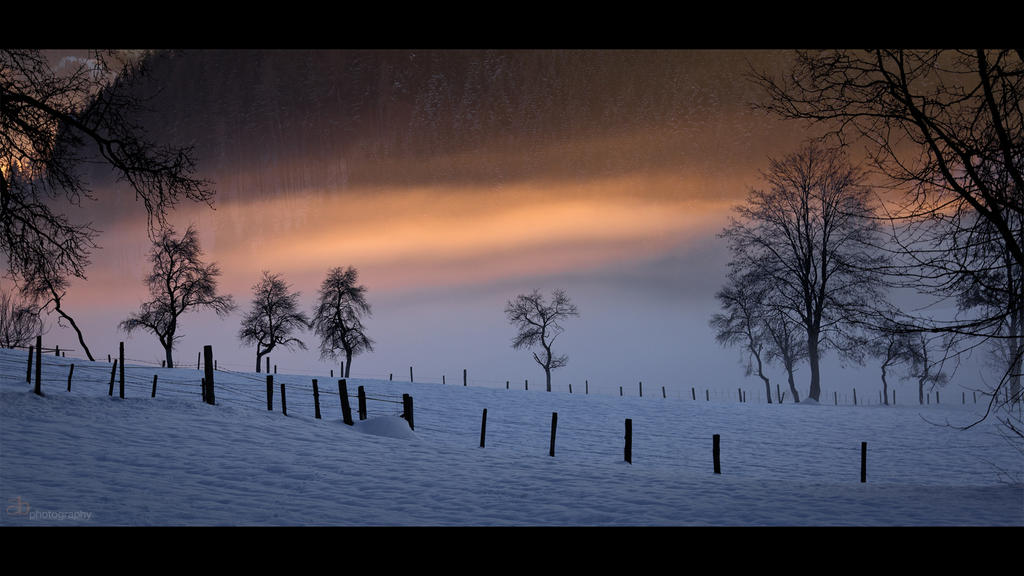 The rise of the fog (1080p)